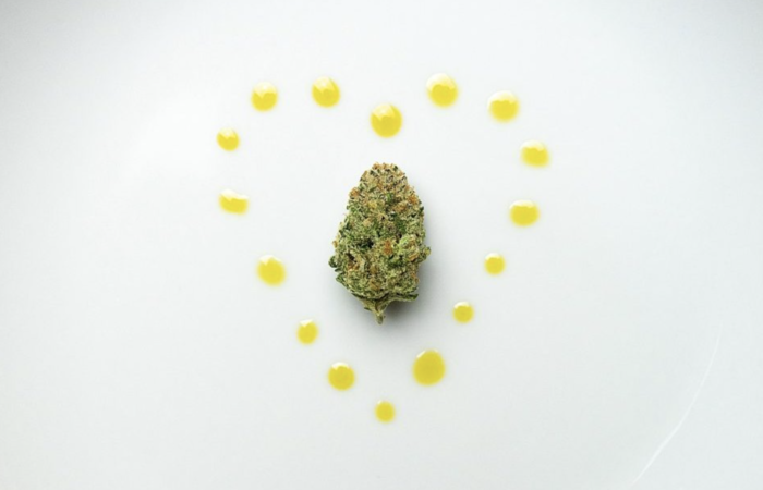 Hempfield Botanicals | Hemp Flower