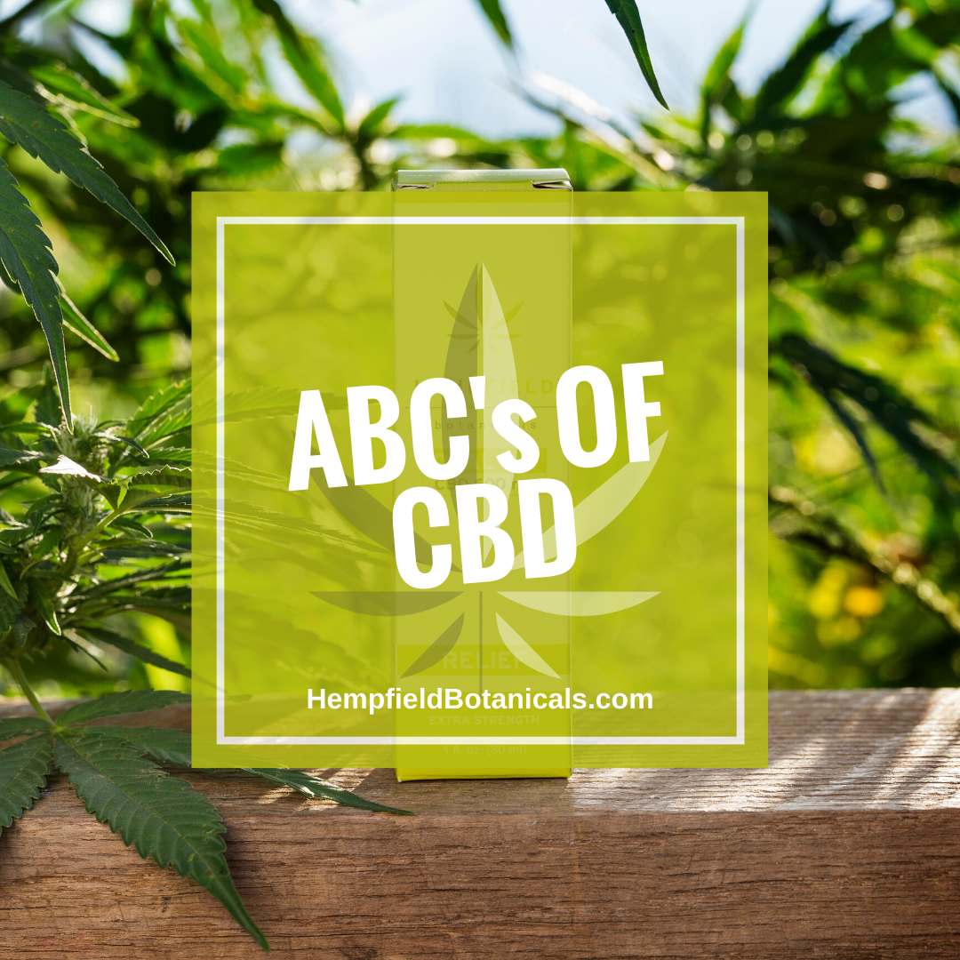 The ABC's of CBD: Quick Guide to Understanding Cannabidiol