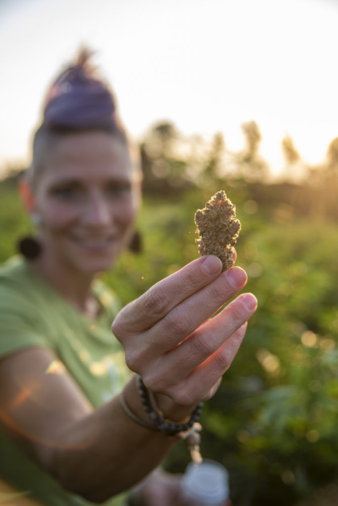 PA Medical Marijuana Legality | Hempfield Botanicals