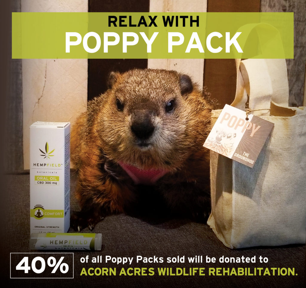 Relax with Poppy Pack | Poppy the Groundhog | Hempfield Botanicals
