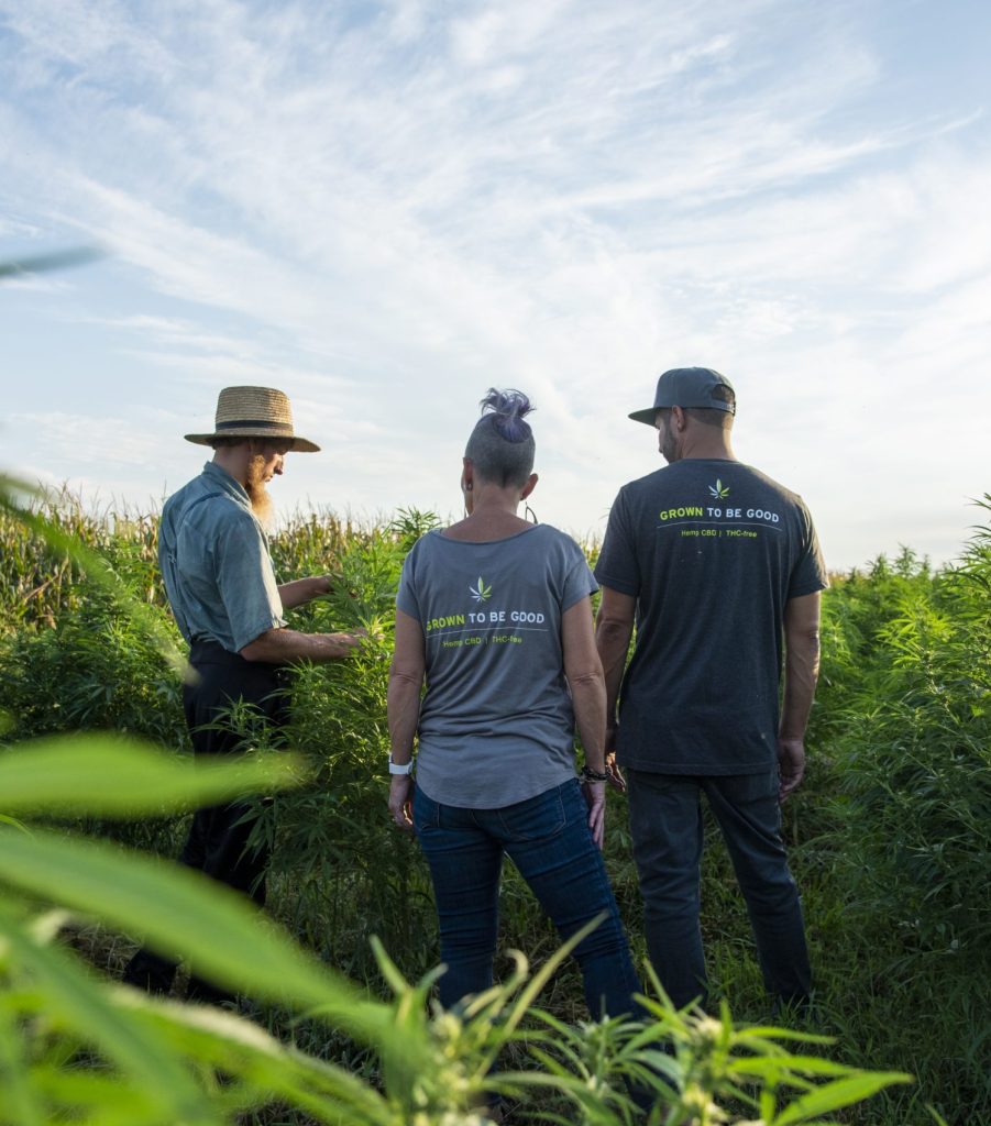 Why Choose CBD from Sustainable, Organic Hemp Farms?